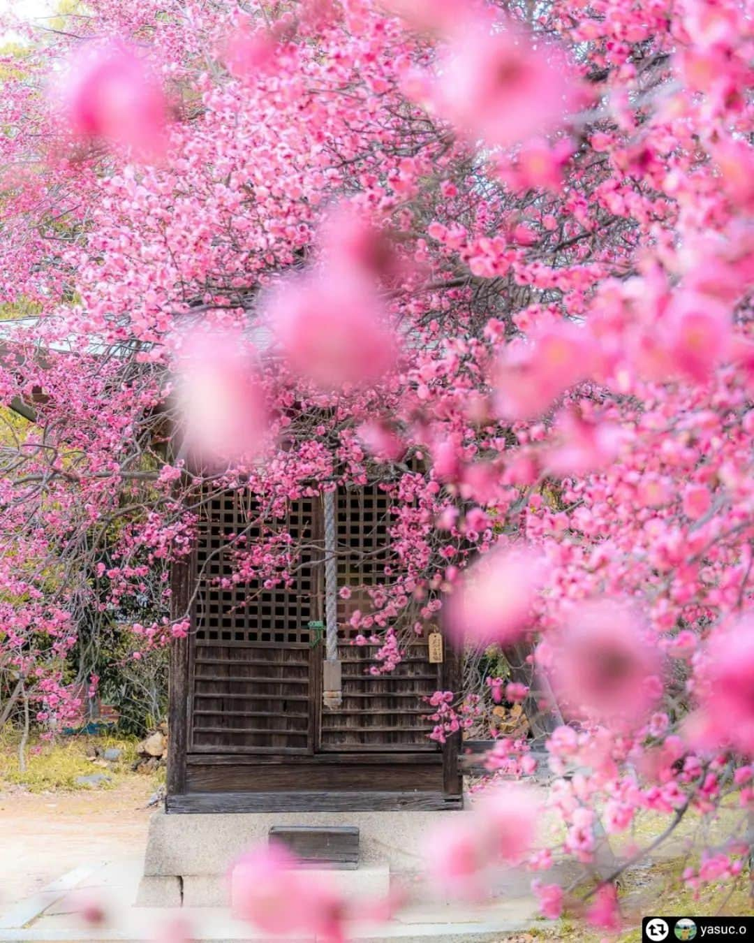 兵庫県のインスタグラム