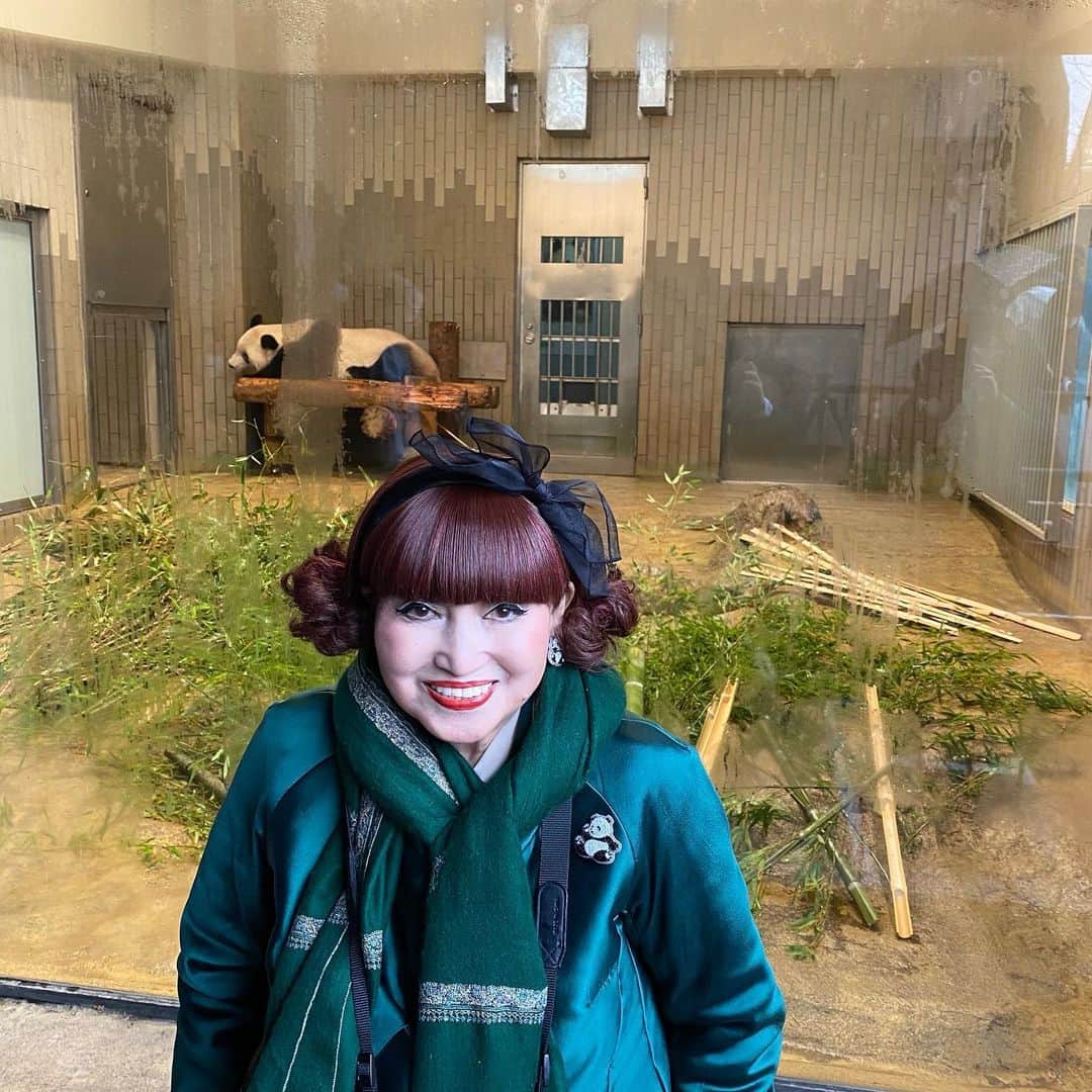 黒柳徹子さんのインスタグラム写真 - (黒柳徹子Instagram)「パンダのシャンシャンが、中国に帰る。今いるパンダの中で、一番可愛いと私は思う。 さよならを言いに、上野動物園に行った。シャンシャンの飼育係の青年が、「寂しいです」と言った。シャンシャンは、顔が可愛いし、動作が、他の子と比べて愛嬌がある。「シャンシャン」とガラスの外から呼んだら、何か食べながら、私の前に来て、座って、一生懸命何か手に持ったものを食べ始めた。私は写真を撮ることも忘れて、その姿に釘づけになった。５歳になったと書いてあったような気がする。それにしても、ピンク色で生まれてから、５年も、よく丈夫に育ったこと、飼育員さんに感謝する。シャンシャンは、顔が断トツに可愛いから、中国に帰っても人気が出ることと思う。シャンシャンという名前を、公募したなかから決めるお役目もいただいて、「シャンシャン」がいいと言った日を思い出した。もっともっと小さかった。シャンシャンという名前が、ぴったりの女の子だった。「さよならシャンシャン、多分四川省に行くんだろうが、いつか会いに行くね」中国の竹林のようなデザインのシャンシャンの上野の家は、わざと現地のように岩がゴロゴロしていて、その上を、シャンシャンは上手に歩いて、自分の寝床のほうにお尻をふりふり、入って行った。「さよなら、元気でね。」写真を撮らなかったことを後悔したけど、私の胸の中に、しっかり残っているから大丈夫！シャンシャン、今度会う時は、大きくなっているんでしょうね。お父さんのリーリーを見に行ったら大きいのにびっくりした。あんなにシャンシャンも大きくなるのかな？でも、女の子だから、もう少し小柄なのかなぁと想像した。 「さよならシャンシャン、元気でね。いつか会いに行くからね。明日、帰るかと思うと、可哀想にも思うけど、親戚もいるだろうから、きっと大丈夫よ。木登り上手のシャンシャン、顔の形が断トツに可愛いシャンシャン。また会う日まで、元気でね」」2月20日 14時53分 - tetsukokuroyanagi