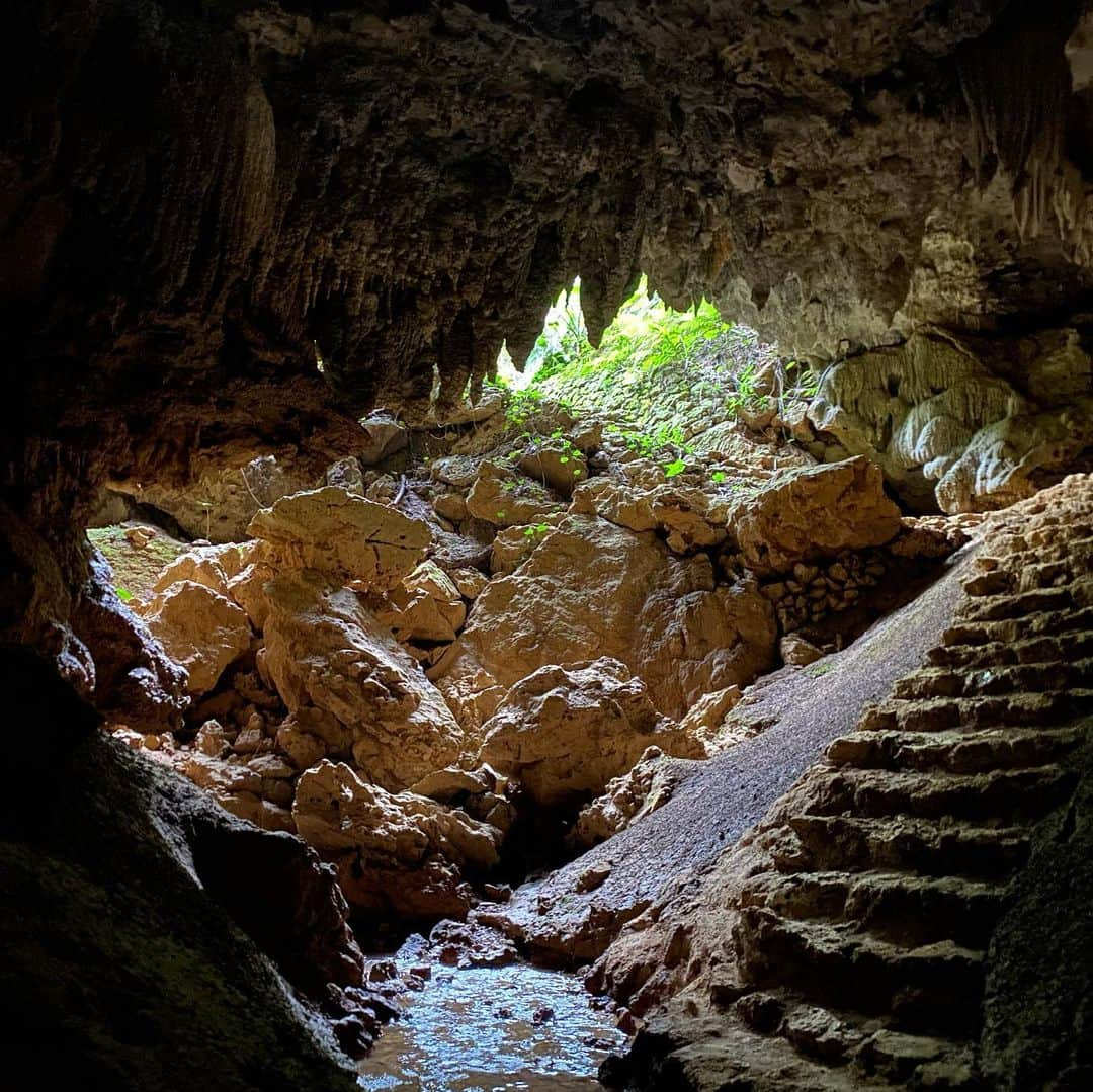 Monika Mogiのインスタグラム：「cave in Okinawa」