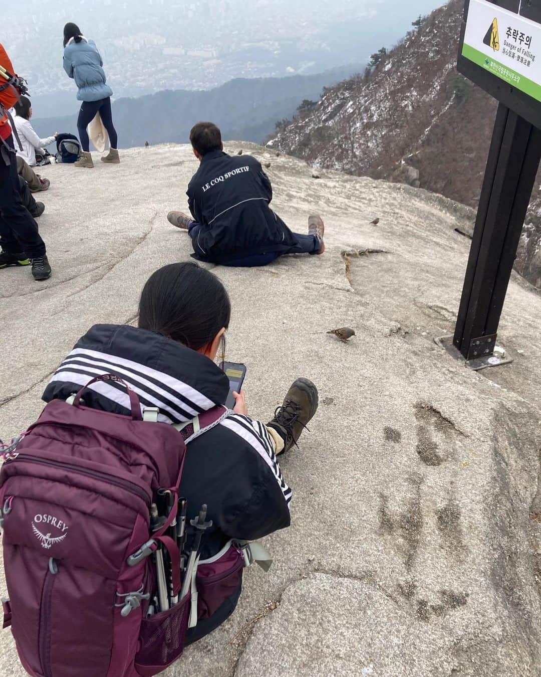 パク・ミンジさんのインスタグラム写真 - (パク・ミンジInstagram)「늦겨울 #홍등회 ⛰️  북한산 정상은 완전 오랜만!  지금 근육통에 고생이지만..ㅋㅋ 오르는 시간만큼은 참 신났음! 아직 얼음이 덜 녹은 길들이 중간중간 있어서 스릴도 있었고, 새들 고양이들두 만나구, 도시락은 꿀맛이었다 😚 대신 흐린 날씨와 미세먼지 탓에 쨍한 풍경은 못 보았지만..!  다음번 봄 홍등회 때는 푸릇푸릇한 풍경 볼 수 있겠지! 🌿」2月20日 15時25分 - kannamingoo