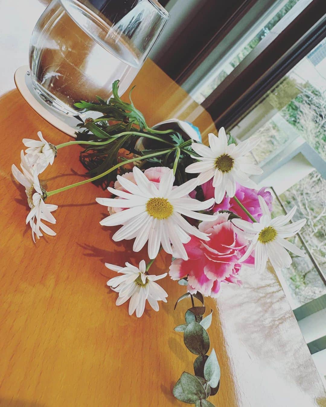 河瀬直美のインスタグラム