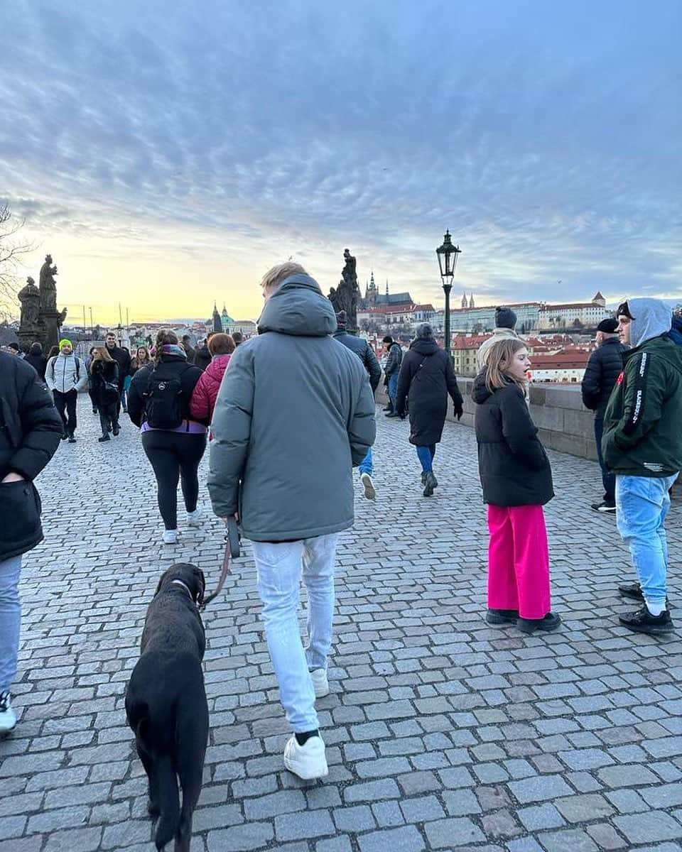 ティモ・ヴェルナーさんのインスタグラム写真 - (ティモ・ヴェルナーInstagram)「Prague 🐶」2月20日 7時00分 - timowerner