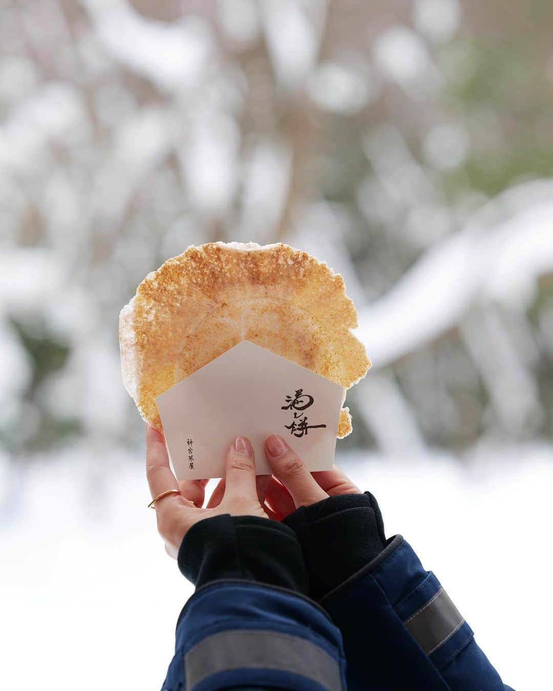 樋口智恵子さんのインスタグラム写真 - (樋口智恵子Instagram)「❄️⛩️❄️ 清らかな冬の #北海道神宮」2月20日 8時52分 - chieko_higuchi