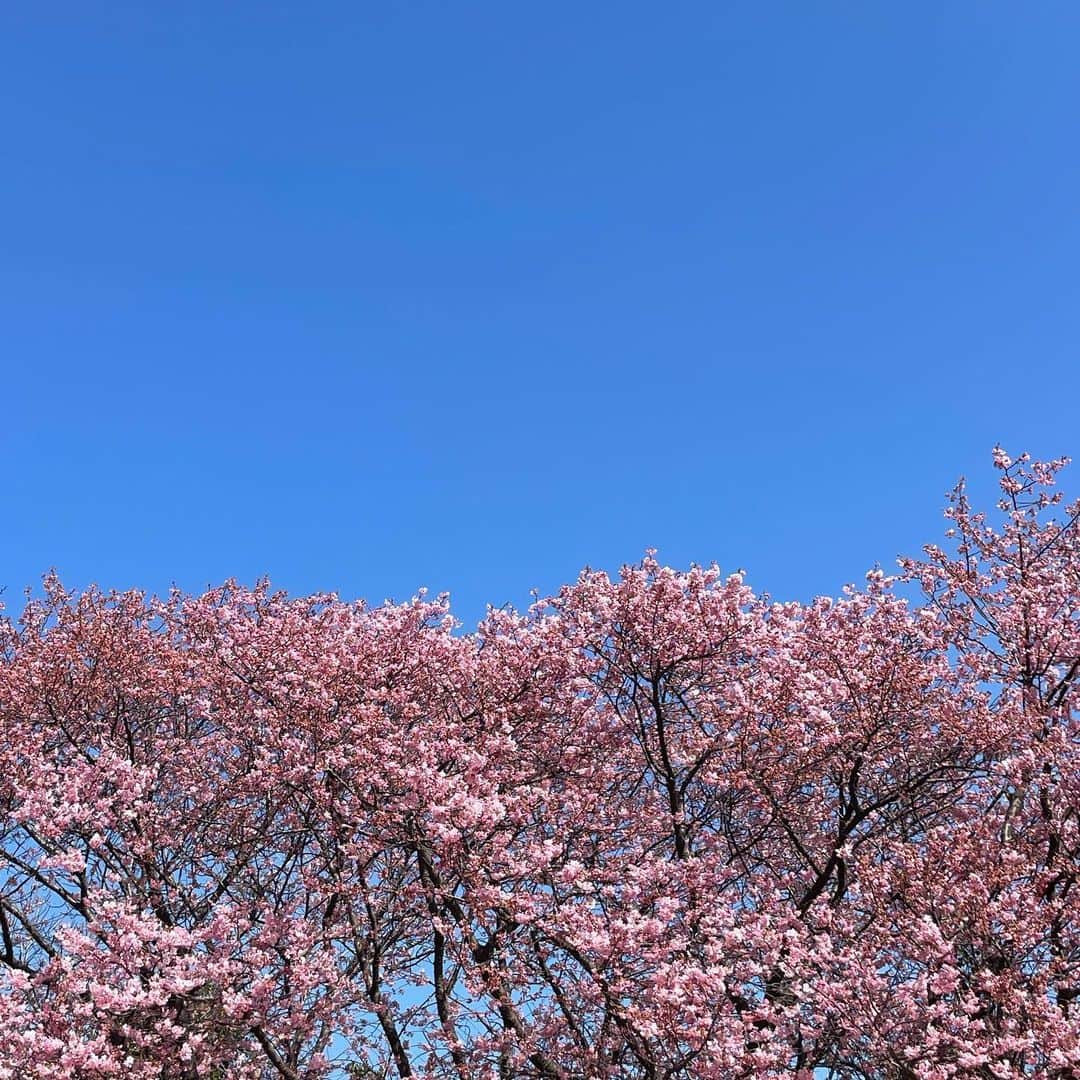 にわみきほのインスタグラム：「🌸  2月も残り僅か♡ 今週も頑張りましょう〜💪」