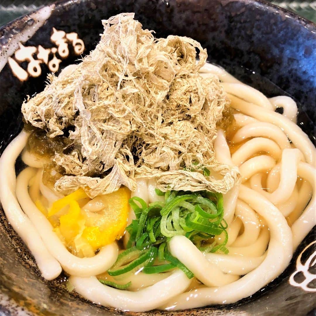 はなまるうどんのインスタグラム：「❄️〰️❄️〰️❄️〰️❄️〰️❄️〰️❄️〰️❄️〰️❄️  週末に食べすぎてしまった  まだまだ寒い週明けにぴったり  ❄️〰️❄️〰️❄️〰️❄️〰️❄️〰️❄️〰️❄️〰️❄️  🟡ゆずとろろ昆布🟡 昆布の旨みとゆずの香りが 冬のカラダを癒してくれます  #秋冬限定 #はなまる #讃岐うどん #テイクアウト」