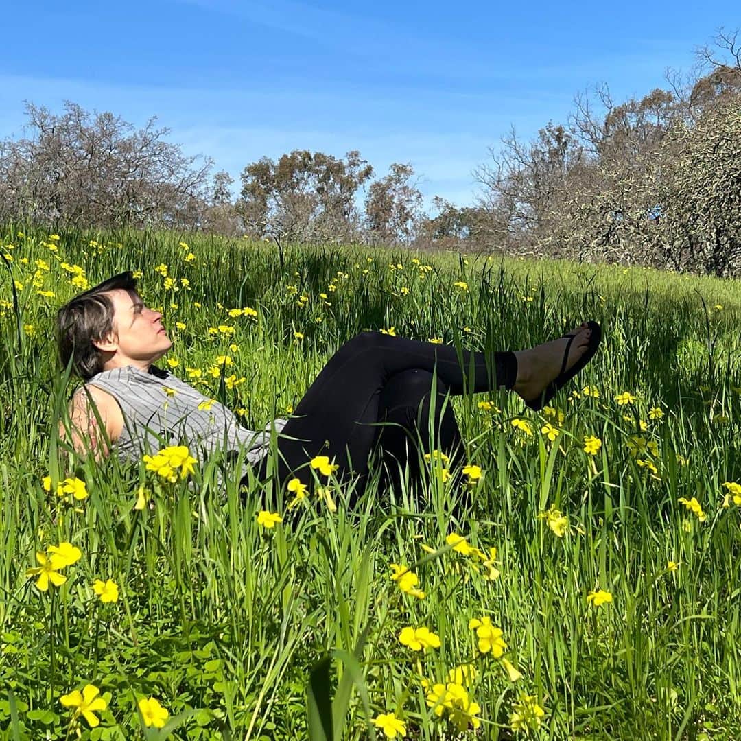 カーキ・キングのインスタグラム：「California I don't even know what to say about this last week! Thank you for the amazing shows and sweet vistas and flowers and trees. Thanks to @treyalam for the handstand assist and the playing of the glorious grand. Thanks to @yvetteyoung for quenching my thirst upon our first meeting! Other highlights: new tattoo (giant sequoia) from @antstattoo_nina, FaceTime from the smalls, and a creepy/genius placental women's restroom at SFO. See you next time golden state!」