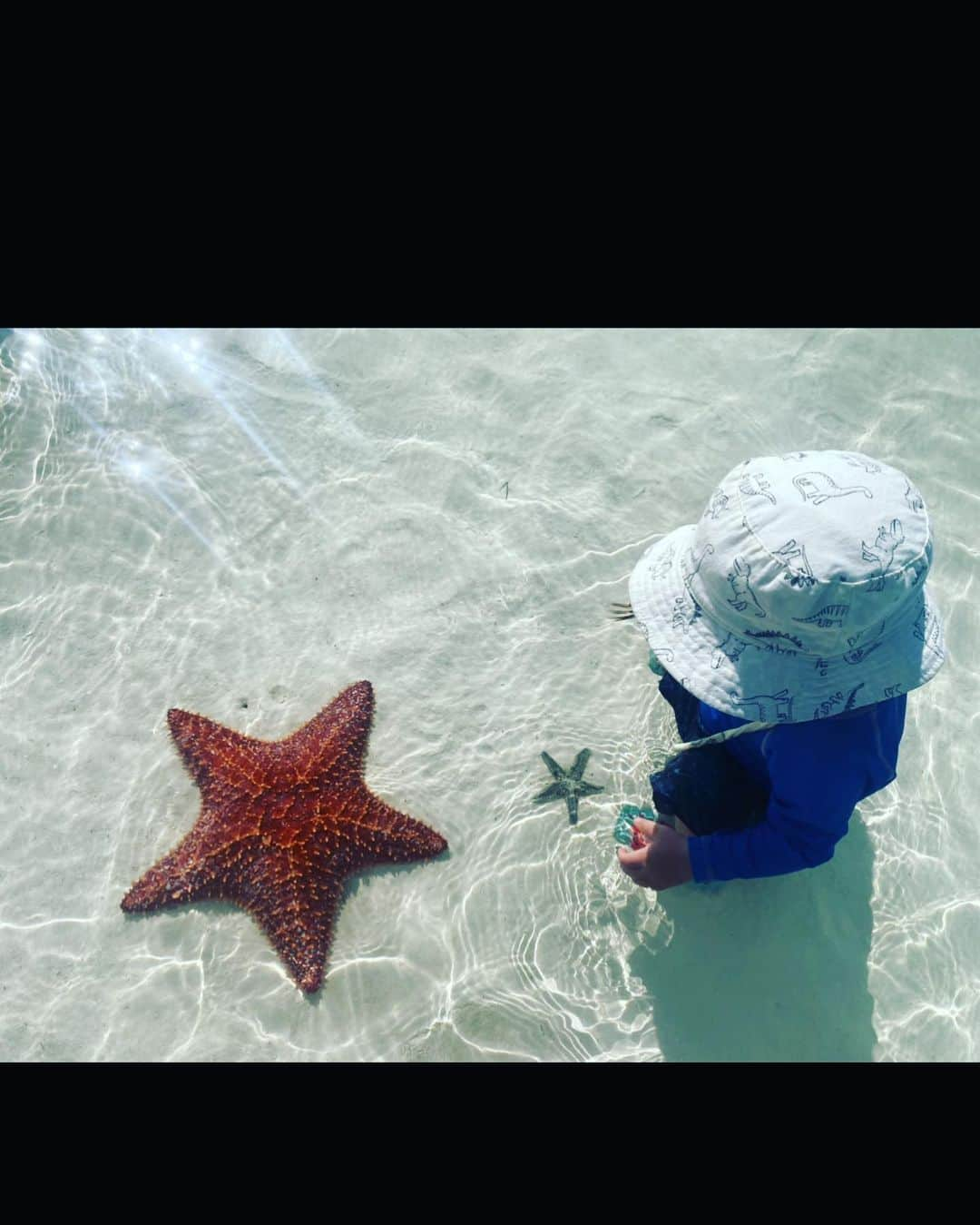 イヴォンヌ・ストラホフスキーのインスタグラム：「Baby meets Starfish 🌊」