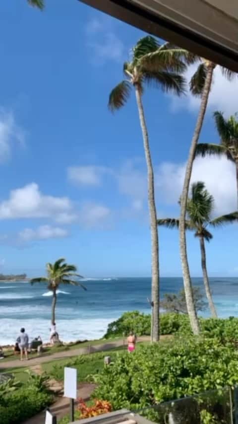 伊東美咲のインスタグラム：「#Northshore #ノースショア #Turtlebayresort #luxuryhotel #Hawaii  #Oceanclublounge  祝日のためノースショアに来ています。 貿易風も強く冬のビッグウェーブを間近で見るのと迫力がありますね。 タートルベイリゾート、リニューアルを行い更にモダンな素敵なホテルになりました。」