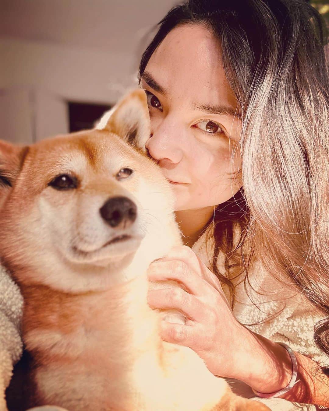 加賀美セイラのインスタグラム：「🐶♥️ #しばいぬ #shibadog #dogsitterlife」