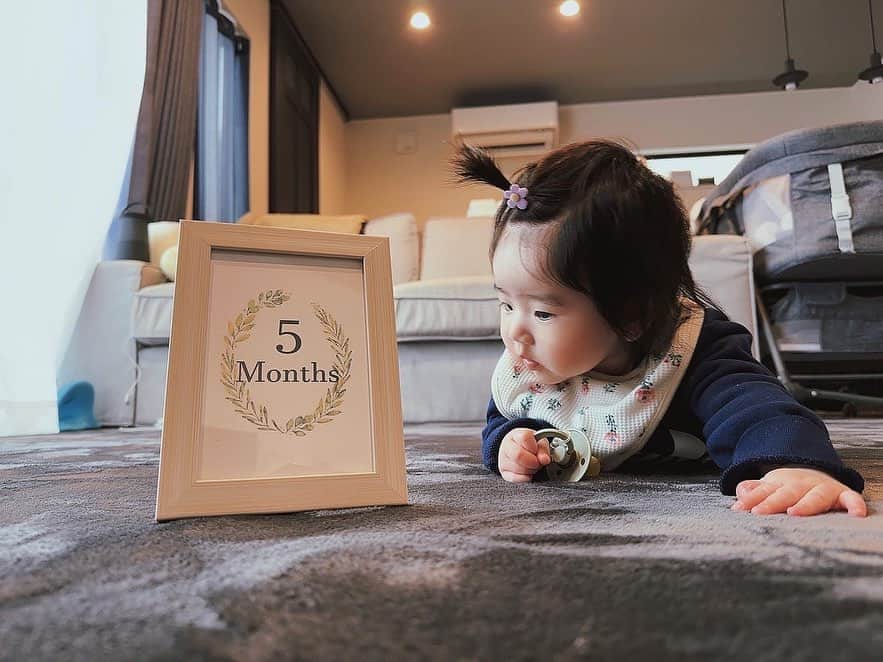 川崎美海のインスタグラム：「子供の成長てホント早いですね👶✨ もうあと4日で半年。 だんだん赤ちゃんから子供になって来ました。 髪の毛…多い…笑 ドライヤー嫌いなうちの子。 いつも乾かすの大変ww  何にしろ、うちの子長い…笑 流石パパの子。身長高いw 大きくなりそうな予感w  お腹にいる時から足長くて、 お父さんは外人さんですか？って言われてたwww  よく食べるし、よく寝るし、 良い子だ👶♪  最近お昼寝短くなって来てママ ちょと大変だけどね(笑) 寝返りゴロンゴロンも大変ww  ほぼ家にこもってるから 私はちょとヒステリックになりがち… そんな私をいつも見捨てないで、 優しく寄り添ってくれる旦那様。いつも感謝です。 たまに海とか広い所に行くの必要だなって思った まー正直いうと早く野球⚾️見に行きたい。　笑  でもどんな時もまや姫の笑顔見てるとホント幸せ感じるっ  まや姫育ててるのは、ママパパだけど、 ママパパを育ててくれてるのはまや姫なんだなって凄く感じる。  家族ていいよね。ホント。 歩き始めるのなんてすぐなんだろーな〜  早く娘とお話ししたい❤︎ それが今1番の楽しみですっ！  #赤ちゃんのいる生活  #赤ちゃんのいる暮らし  #5ヶ月 #5ヶ月ベビー  #ベビー #baby #赤ちゃん  #女の子ベビー #女の子ママ  #6ヶ月ベビー #育児 #育児日記」