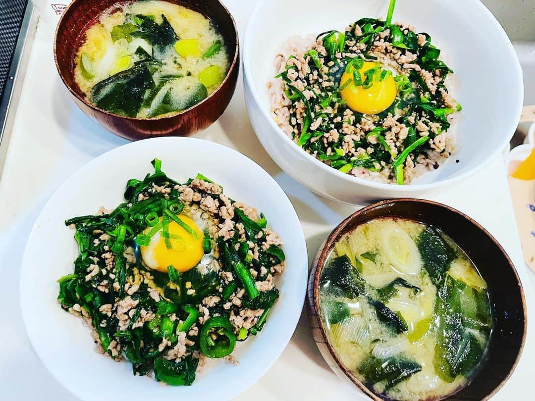 浜名ランチのインスタグラム：「最近のお昼ご飯✨  お昼ご飯は丼ものが多い✨  とにかく簡単に、早く、美味しく、お腹いっぱいになるメニュー✨  あと夜ご飯の旦那が絶賛した たらわさマヨの小松菜和え  スタミナ丼、ねぎとわかめの味噌汁  豚丼と白菜ときのことわかめの味噌汁  卵をつけてどーぞー！  でした。。  最近お料理は娘の方ばっかり 頑張ってるので また自分たちのご飯も がんばろー！ でも適当にやろーがモットーです✨」