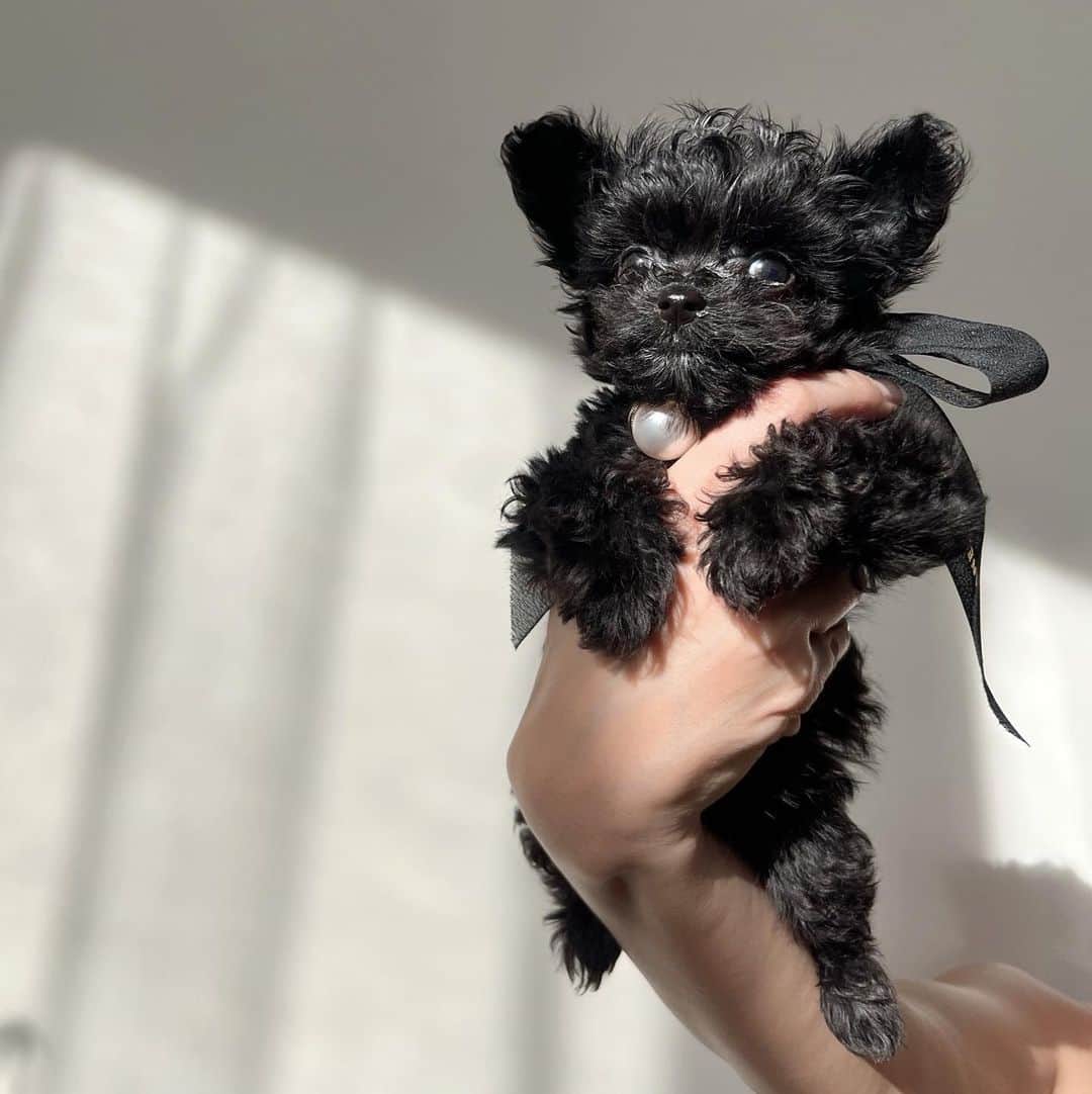 小竹麻美のインスタグラム：「baby gra👼🏼🖤」