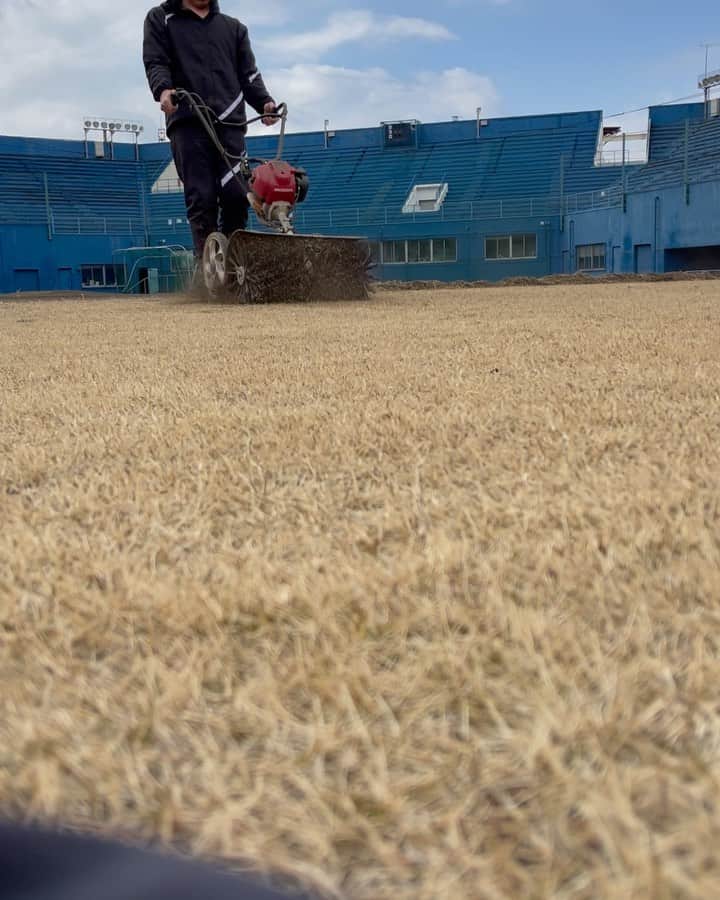 渡辺俊介のインスタグラム：「飛散土砂戻し… 風の強い君津球場では、強風の翌日には芝生に厚く積もった土砂を戻す作業が必須となっています。 やり過ぎると芝を傷めてしまうので、常々新たな対策を検討しておりますが… 皆様、何かお薦めの案がありましたら、ご教示頂けますと幸いです🙇 #日本製鉄かずさマジック  #日本製鉄君津球場  #強風　#芝生  #君津市」