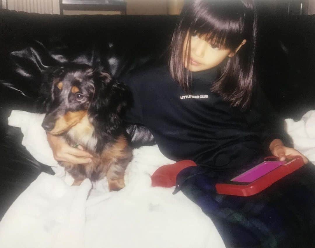 Rika Sasaki JPNのインスタグラム：「懐かしい写真が出てきた🐶❤️ 小さい頃に犬に追い回されて 犬が怖くて大嫌いだったから お父さんが私の犬嫌いを克服する為に 我が家に連れてきた🐶 家族でドラゴンボールが好きだったから トランクスと命名。笑 この子のおかげで犬が大好きになった🥹❤️ ありがとう🥹🥹🥹 i miss youuu🥲🌈🐶  てか、歯がないね。笑 歯抜け中の6歳🤭」