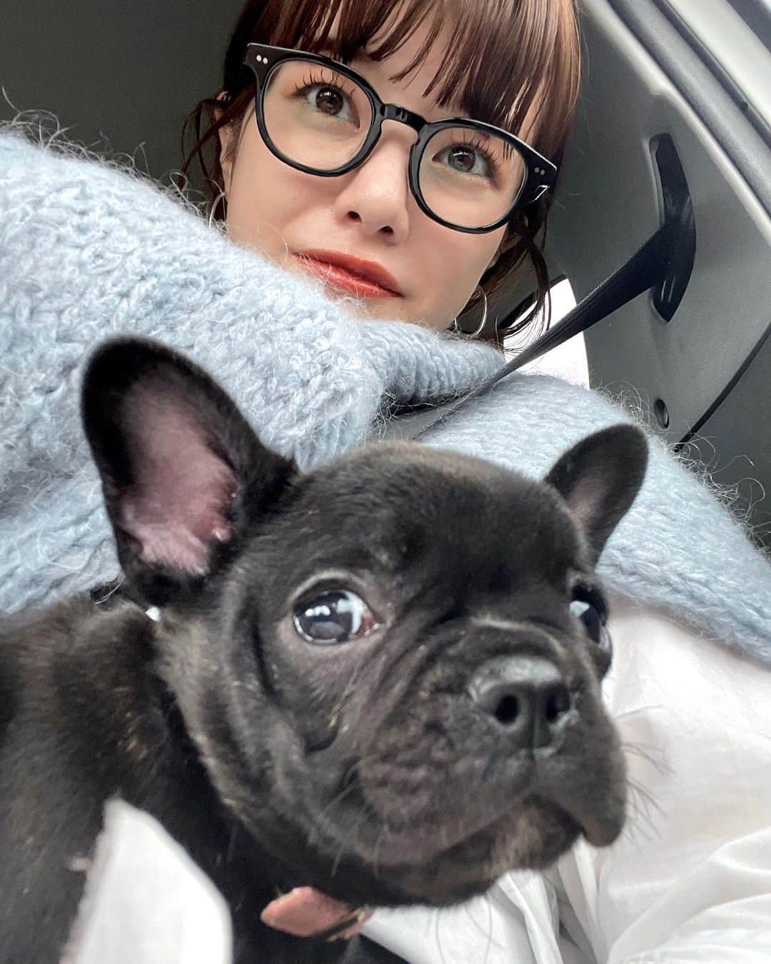 のインスタグラム：「. 我が家におてんば娘がやってきた🖤  名前はでんぼちゃん💡 ブリンドルの女の子です🐶  これからよろしくね🥰✨  #フレンチブルドッグ」