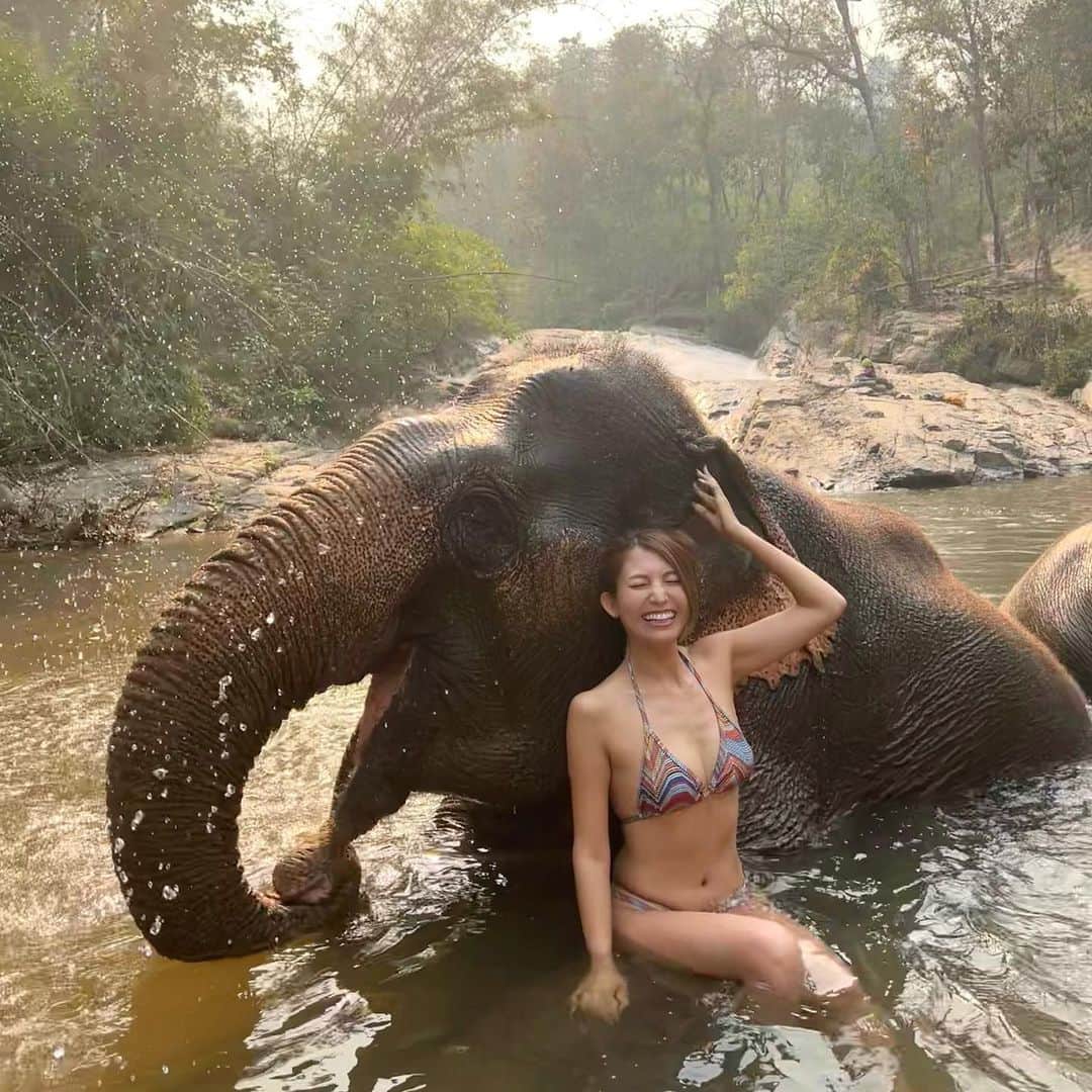 のインスタグラム：「Splash about with elephants🐘💦  川で象と水遊び🥳 飼育員さんたちが私にも冷たい水かけてくるから毎回絶叫🤣 お膝にも座らせてもらった🥰  そして象の鼻の動きが激しすぎて @aki_v7 となかなか一緒に写真写れてない🤣(6.7枚目)  このツアーは @chailaiorchid の宿泊にプラスして申し込んだよ(2500バーツ〜) 山道登ったりもするから、スニーカーか滑らないサンダル持っていこー🏞️  #chailaiorchid#チャイライオーキッド#Chiengmai#chiengmaitrip#thailand#thailandtravel#thailandtrip#チェンマイ#チェンマイ旅行#チェンマイホテル#象#elephant#タイ#タイ旅行#タイ観光#海外旅行 #あーちゃんチェンマイ」