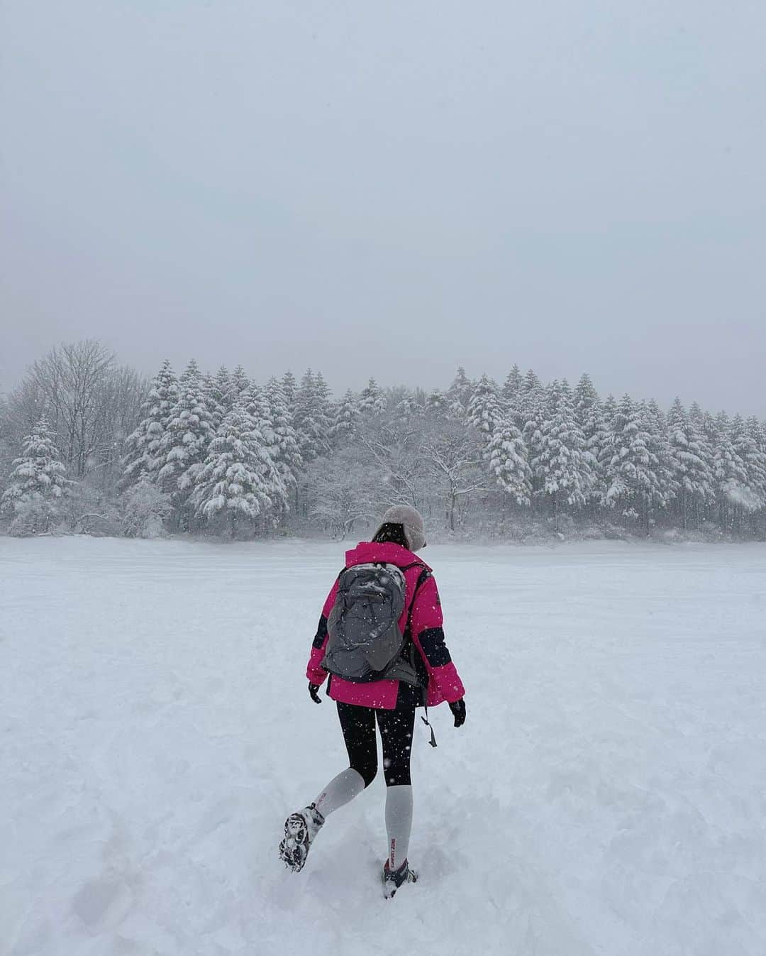 パク・ミンジさんのインスタグラム写真 - (パク・ミンジInstagram)「겨울 근황1. 눈 몰고 다녔음 🏔️☃️❄️」2月20日 22時41分 - miinzzi