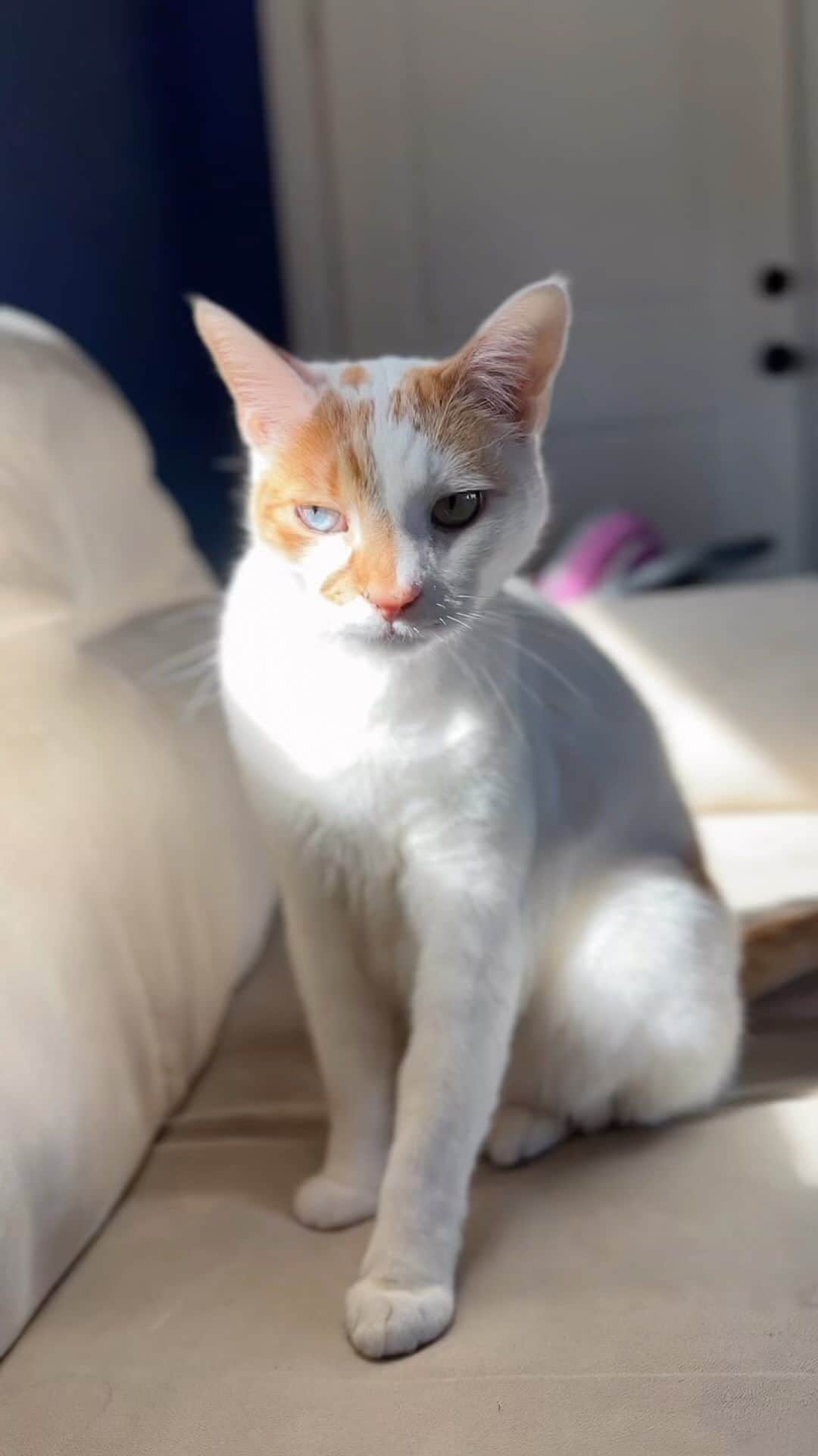のインスタグラム：「Good morning!」