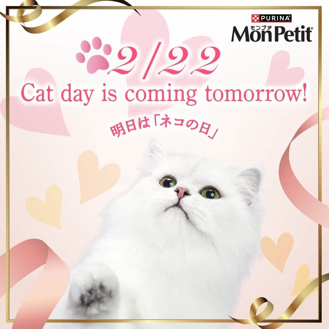 Purina Mon Petit Japanのインスタグラム：「みなさん、お気づきですか？☺  明日2月22日は #猫の日 です🐈♡  毎日、私たちを癒してくれるネコちゃんへ感謝の気持ちを込めていつもより「特別」な愛をプレゼントしてみてはいかがですか？♡  #モンプチ では絆が深まるオヤツ #クリスピーキッス をはじめ沢山のごはんをラインナップ♪  ネコちゃんとの絆深まる素敵な一日になりますように☺🎀  製品の詳しい情報は、プロフ欄の「モンプチ」公式HPよりチェックしてくださいね☆彡  #ネスレピュリナ」