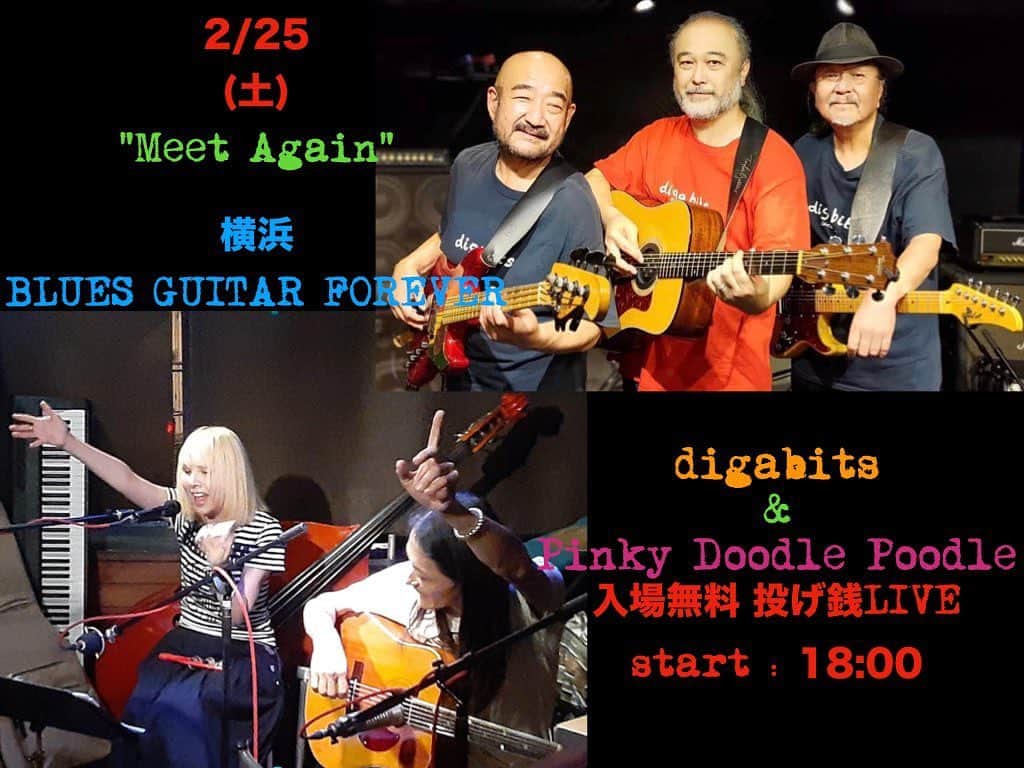PINKY DOODLE POODLEのインスタグラム：「2/25(土)は、 横浜BLUES GUITAR FOREVERに集合！ @blues_guitar_forever  入場無料、投げ銭ライブ。 今回は、digabitsさんとご一緒です。  ワンコも入れる、本格レストランで 楽しい夜を過ごしましょう〜。 是非、ワンコ連れて来てね！  #acousticlive #liveinjapan2023 #pinkydoodlepoodle  #highenergyrocknroll  #highenergyrockband #japaneserockband #chickenranchrecords #femalerocker #baxendaleconversion  #baxendaleguitar  #kayguitar  #vintageacoustic  #shortscaleacousticguitar」