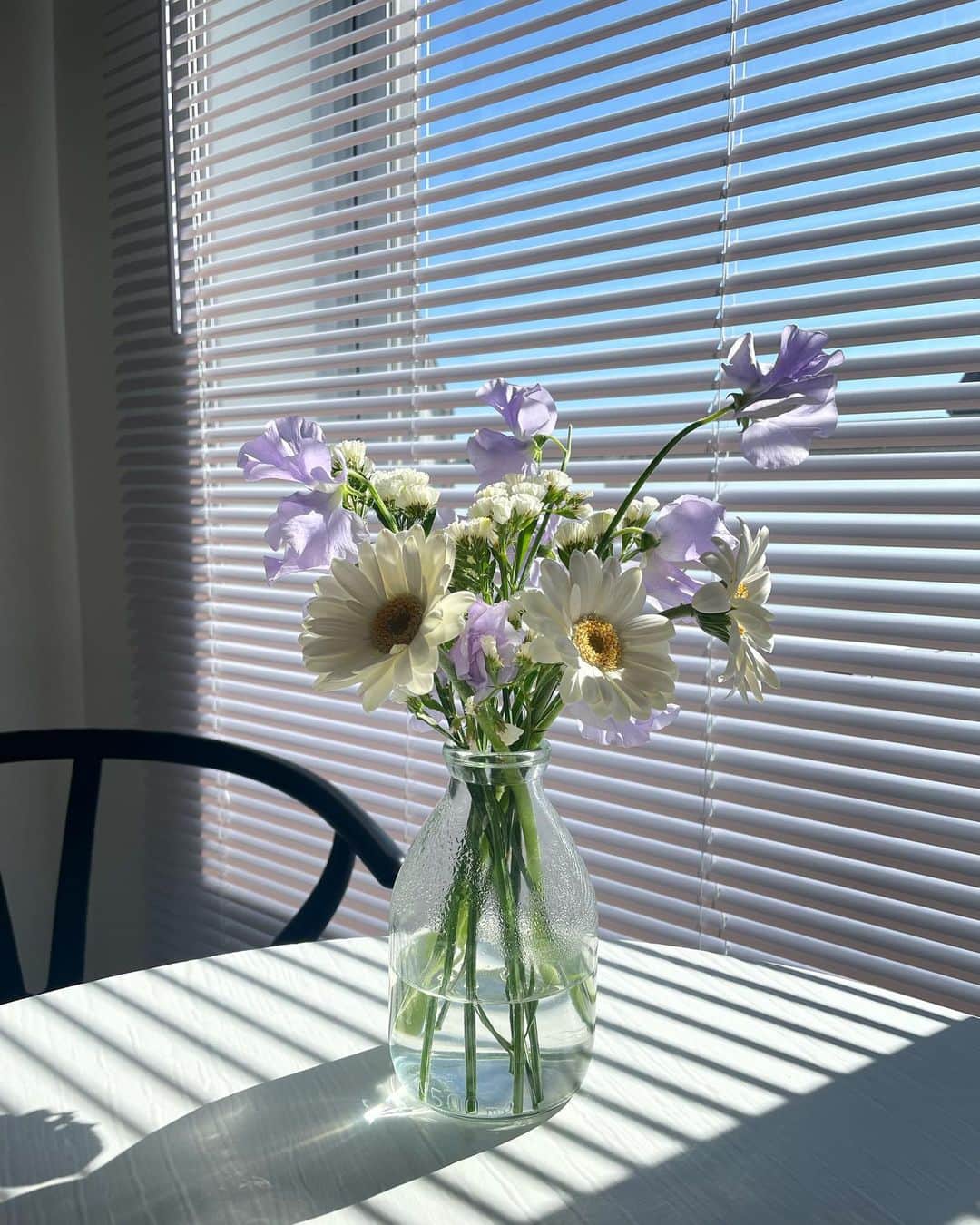 𝙺𝚢𝚘𝚔𝚘のインスタグラム：「可愛い色合い🌼  今回は淡い感じに🤍  桜の季節も間近で街を歩けば桜餅、スタバでは桜フラペチーノ。  誘惑がすごい🤤  #フラワー#Flower#お花のある暮らし #花束#ユニクロ#UNIQLO#インテリア#インテリアコーディネート #淡い色#スイートピー#ガーベラ#ychair #ブラインド#賃貸インテリア#賃貸暮らし」
