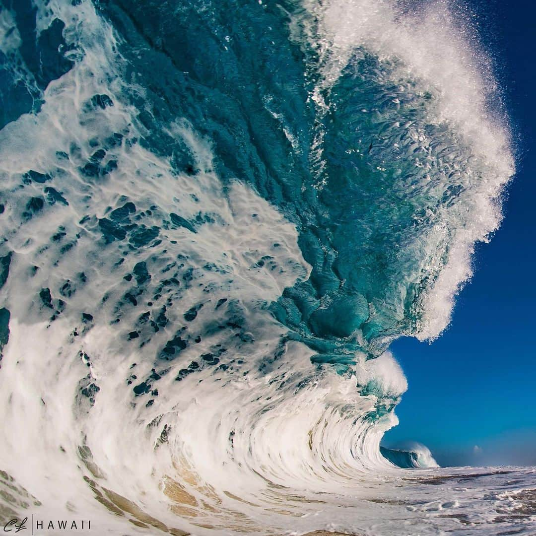 クラーク・リトルさんのインスタグラム写真 - (クラーク・リトルInstagram)「🌊💥 #shorebreak #clarklittle 🆑」2月21日 13時55分 - clarklittle