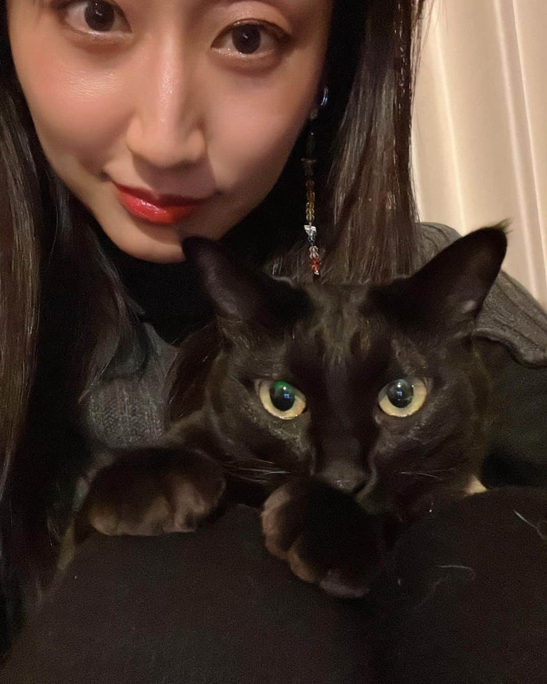 Ms.OOJAのインスタグラム：「ラキ🐈‍⬛🖤🖤🖤  #おせっかい黒猫　#他の猫が入った後のトイレをいつも片付けてる　#食い意地トップ　#夜はぴったりくっついて寝てくる💕　#呼んだらやってくる　#誰にも人見知りしない　#愛嬌百点満点」