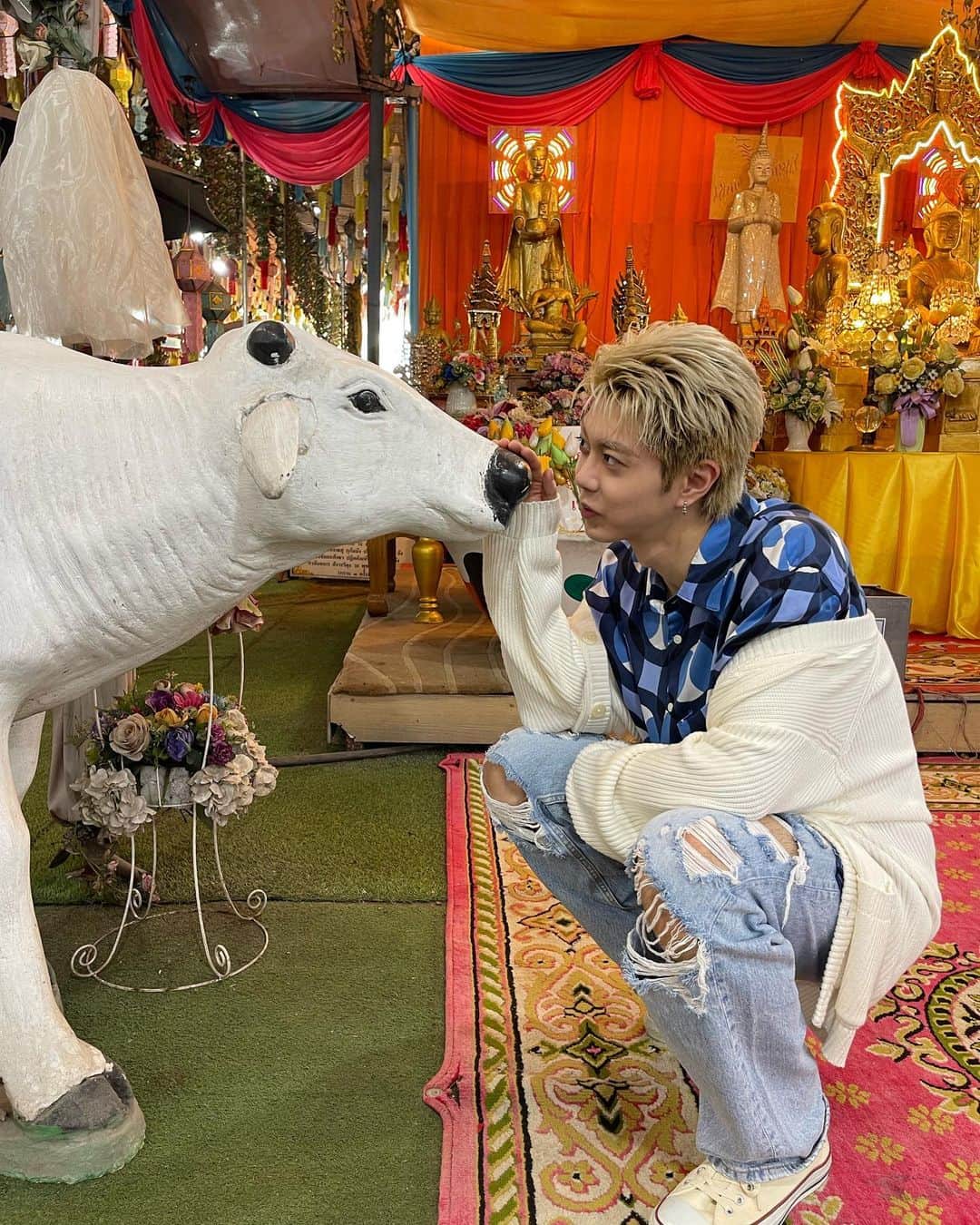 岡本聖哉のインスタグラム：「🐄🐄🐄」
