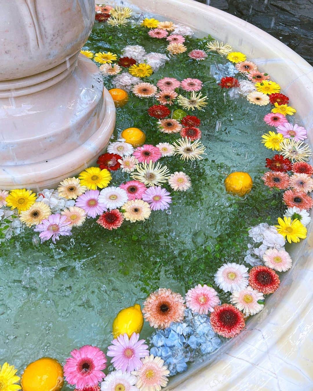 吉木千沙都（ちぃぽぽ）のインスタグラム：「🌼💞」