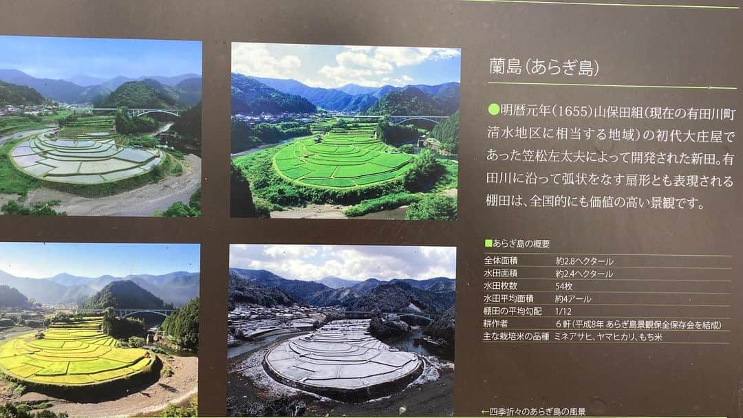 小谷あゆみさんのインスタグラム写真 - (小谷あゆみInstagram)「#日本農業遺産　 訪ねる旅3日目〜 #聖地高野山を支える有田川上流域の農業システム #つなぐ棚田遺産 #あらぎ島 #沼の棚田」2月21日 22時19分 - vegeanaayu