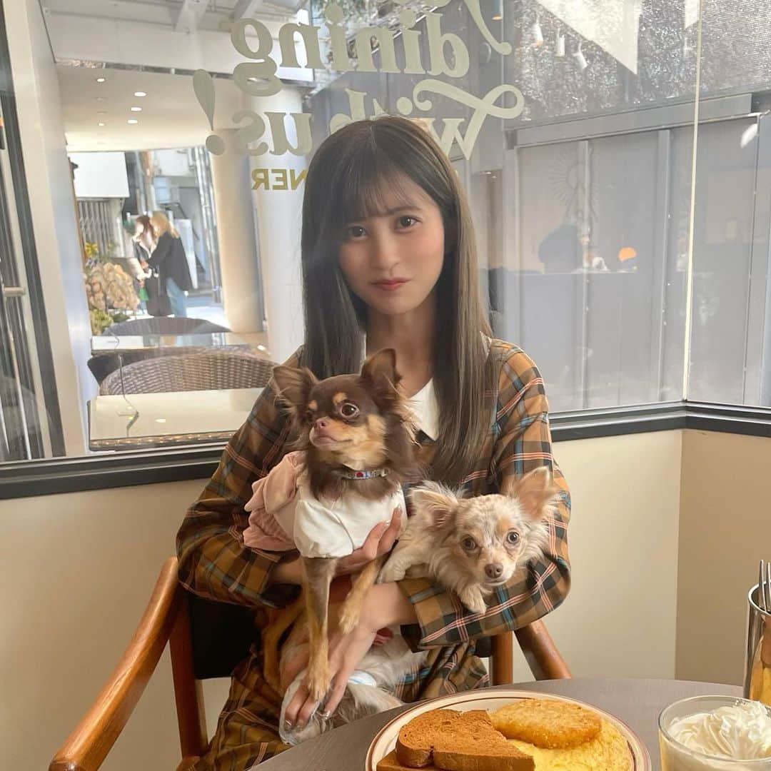 金澤有希さんのインスタグラム写真 - (金澤有希Instagram)「. くまベルと初めて原宿行きました！！  楽しかったな〜！！ 犬も店内okなの嬉しいなぁ❤︎  🫖𝐇𝐨𝐡𝐨𝐤𝐚𝐦 𝐃𝐈𝐍𝐄𝐑 @hohokamdiner   ■東京都渋谷区神宮前１丁目１４−２１ ■OPEN 11:00〜21:00 ■わんちゃん店内OK ■原宿駅から徒歩3分 ■支払方法：現金、カード、電子マネー可  #チワワ #チワワのいる暮らし #チワワ画像 #ミックス犬 #多頭飼い #犬と入れるカフェ #ペット同伴可#犬同伴 #犬同伴可 #犬とカフェ #ワンコとカフェ #犬okカフェ #店内わんこok#店内ワンコok #わんこ店内ok #ペットokカフェ #犬とおでかけ #犬とお出掛け #犬と行けるカフェ #犬店内ok #表参道カフェ #表参道 #神宮前 #hohokamdiner #韓国っぽカフェ #明治神宮前カフェ #原宿カフェ #渋谷 #明治神宮前」2月21日 22時52分 - yuuki_kanazawa0501