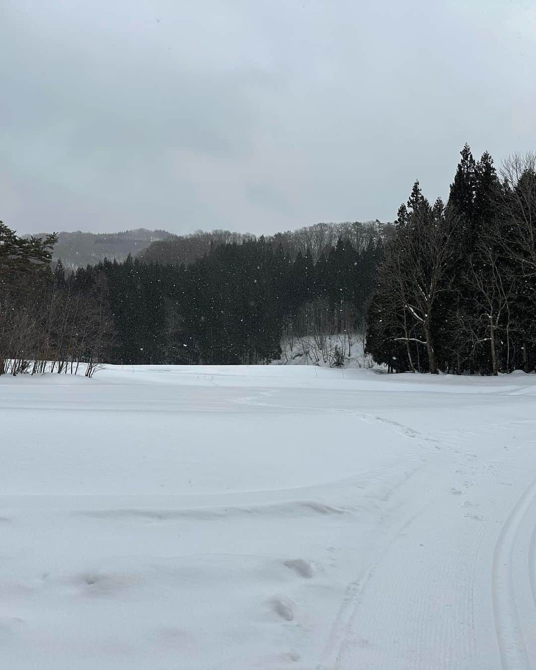 大隅智子さんのインスタグラム写真 - (大隅智子Instagram)「豪雪地帯の岩手県西和賀町沢内内の沢の「志賀来（しがらい）の氷柱」の取材に行ってきました！ 高さ約10m、横幅約25m。 滝が凍ったわけではなく、崖の上から滴る水が凍り、スケールの大きな氷柱になることに驚きました。 かんじきで雪道を歩きました。 道中の雪景色もよかったです。 今だけの絶景でした！ #岩手　#西和賀町　#沢内　#志賀来の氷柱」2月21日 22時57分 - tomokotenki