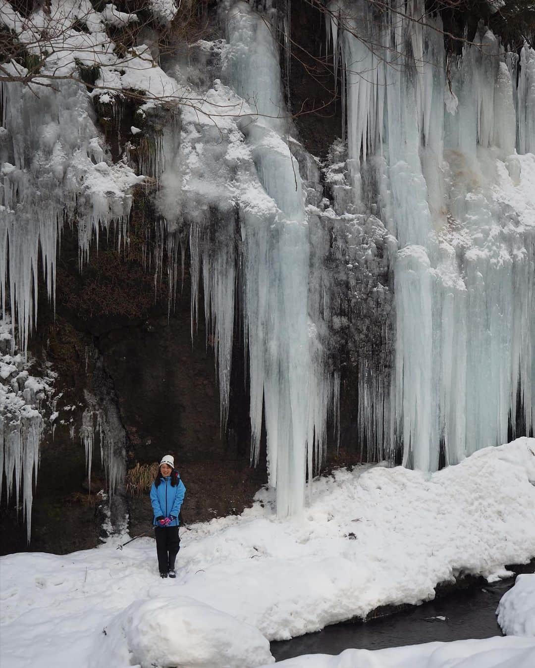 大隅智子さんのインスタグラム写真 - (大隅智子Instagram)「豪雪地帯の岩手県西和賀町沢内内の沢の「志賀来（しがらい）の氷柱」の取材に行ってきました！ 高さ約10m、横幅約25m。 滝が凍ったわけではなく、崖の上から滴る水が凍り、スケールの大きな氷柱になることに驚きました。 かんじきで雪道を歩きました。 道中の雪景色もよかったです。 今だけの絶景でした！ #岩手　#西和賀町　#沢内　#志賀来の氷柱」2月21日 22時57分 - tomokotenki
