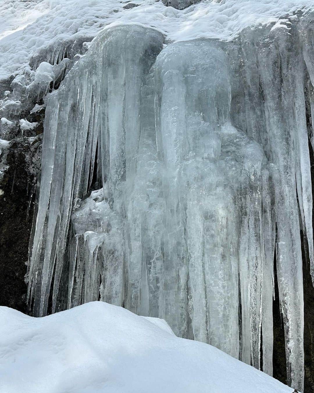 大隅智子さんのインスタグラム写真 - (大隅智子Instagram)「豪雪地帯の岩手県西和賀町沢内内の沢の「志賀来（しがらい）の氷柱」の取材に行ってきました！ 高さ約10m、横幅約25m。 滝が凍ったわけではなく、崖の上から滴る水が凍り、スケールの大きな氷柱になることに驚きました。 かんじきで雪道を歩きました。 道中の雪景色もよかったです。 今だけの絶景でした！ #岩手　#西和賀町　#沢内　#志賀来の氷柱」2月21日 22時57分 - tomokotenki