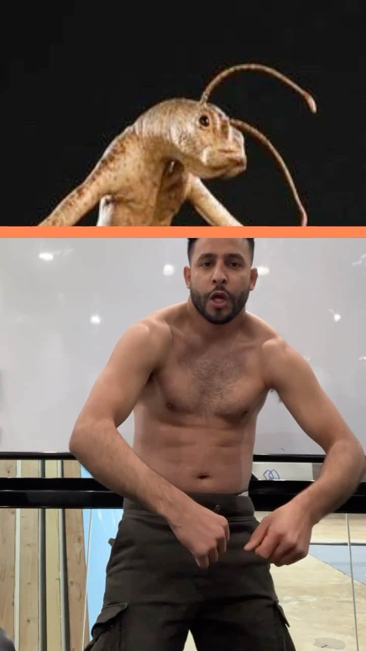 Anwar Jibawiのインスタグラム：「Celebrity lookalike」