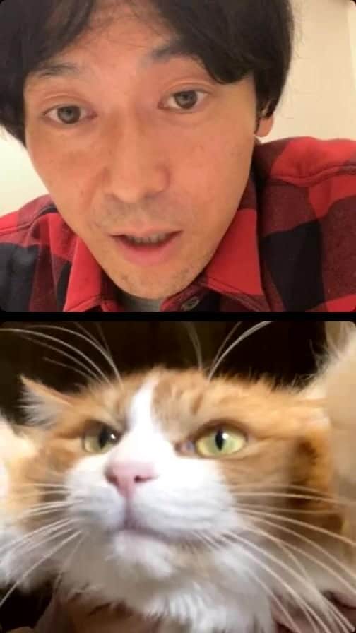 のインスタグラム：「倉沢学とおしゃべりする夜。何かやりたいね、という漠然とした話をずっとしていました…。生で観てくださった皆さま、ほんとーーに中身のない会話を、すみません😅またやりますー！」