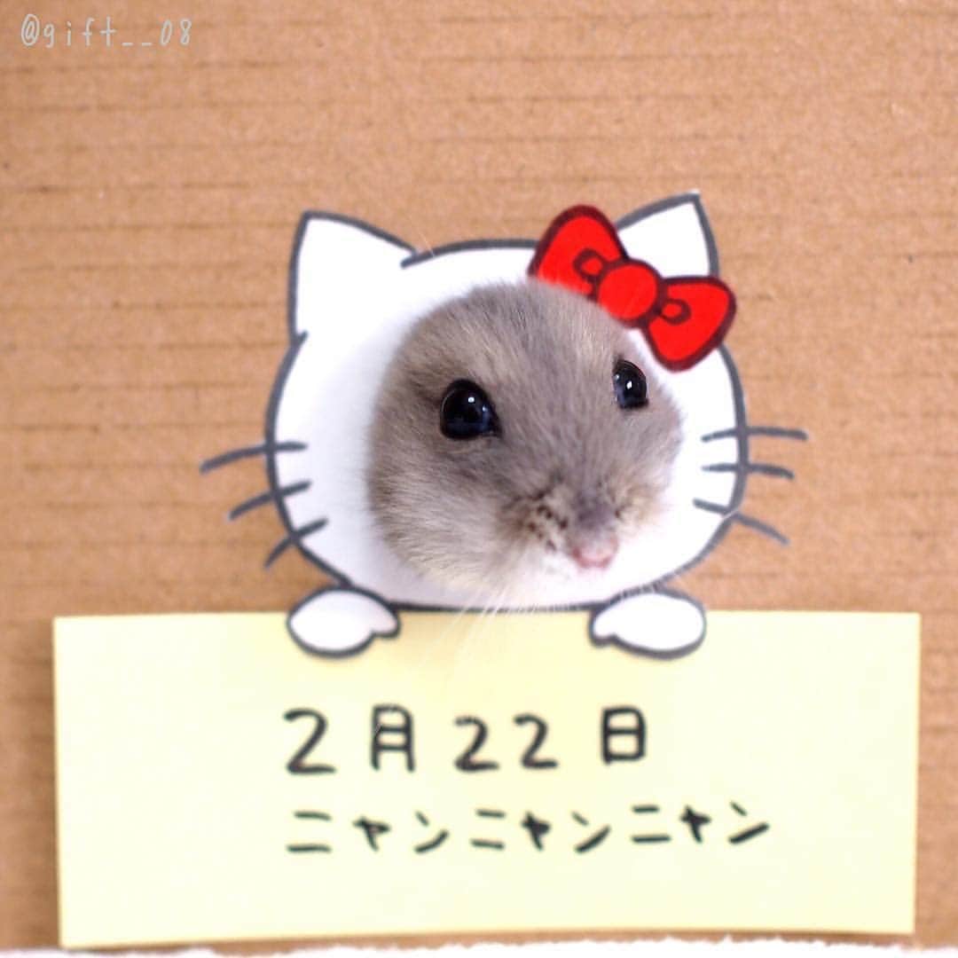 manoのインスタグラム