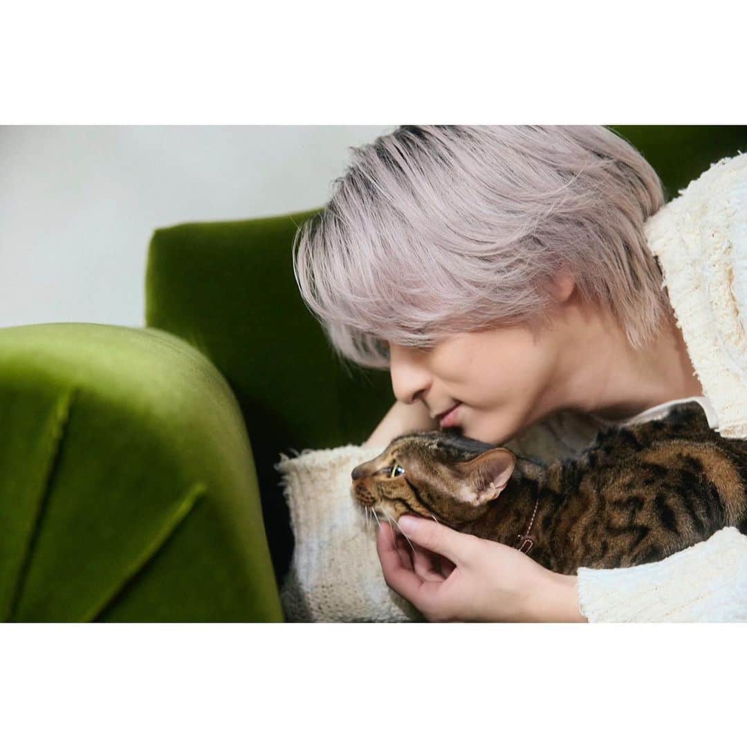 和田颯さんのインスタグラム写真 - (和田颯Instagram)「. 2/22🐈 @junon_jp 4月号にてうちのエトさんと載ってます📷 シエルがいない撮影は初めてだったのでビビり散らかしてましたが、しっかり可愛く撮っていただきました＾＾ 是非チェックしてください！  #猫の日」2月22日 14時22分 - da_ice_hayate_wada