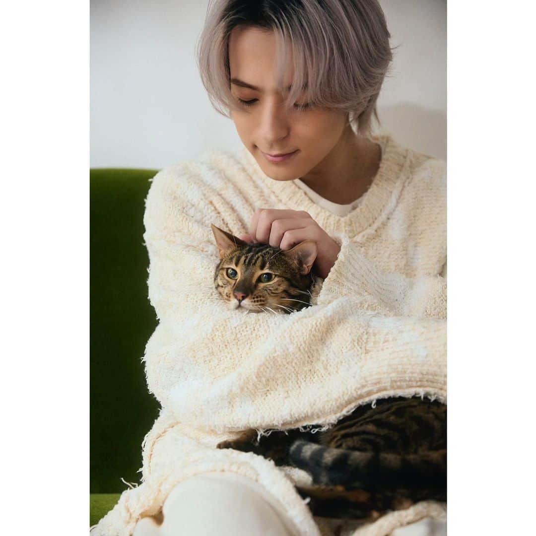 和田颯のインスタグラム：「. 2/22🐈 @junon_jp 4月号にてうちのエトさんと載ってます📷 シエルがいない撮影は初めてだったのでビビり散らかしてましたが、しっかり可愛く撮っていただきました＾＾ 是非チェックしてください！  #猫の日」