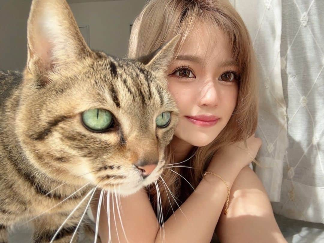 西川樹里のインスタグラム：「猫の日🐈  my fam♡  #猫の日 #家族 #チョコ #クッキー #もう17年一緒 #昔超不仲 #今は仲良し♡ #長生きしてくれ♡」