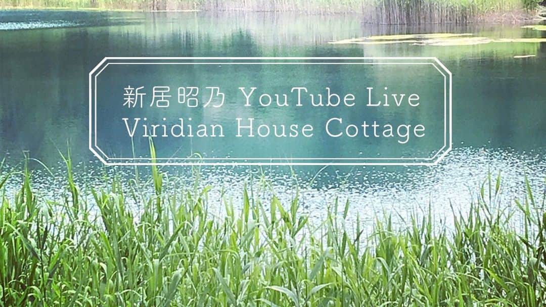 新居昭乃のインスタグラム：「今夜、２２日１９時からYouTube 新居昭乃公式チャンネルにて、YouTubeでははじめてのライブ配信をします。  コメントいただけたら読んでみたりしたいです。ちょこっと歌も歌う予定です。  お時間合うかたはぜひ参加してくださいね🌟  https://www.youtube.com/@AraiAkino_Official」
