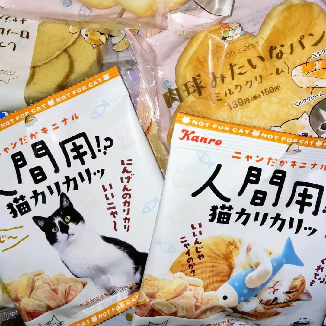 テレンス・リーのインスタグラム：「ファミマのいろいろ買ってしまった🤣 #猫 #ねこ #もふもふ猫 #人間用猫カリカリ #猫の日 #猫が好き」
