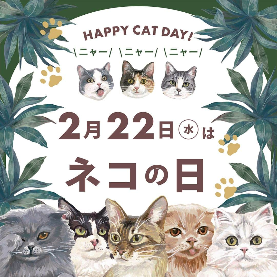 Cat's NapTimeのインスタグラム：「. 🐈 2/22 今日はネコの日 🐈  今日はネコの日！リビングではネコの日を盛り上げるコンテンツが盛りだくさん。  🐈2/22～26 オリジナルステッカープレゼント リビング店舗にて、本投稿の4枚目の画面をスタッフに見せていただいた方にオリジナルステッカーをプレゼント！各店なくなり次第終了となりますので、どうぞお早めに。  🐈GIFスタンプ Instagramのストーリーズやメッセージで使えるGIFスタンプが登場。 GIF検索画面から、「キャッツナップタイム」と検索してぜひお楽しみください！  🐈アイテム好評発売中 ネコたちのアートがデザインされたCat’s NapTimeのユニークなアイテムが好評発売中。 自分用にはもちろん、ネコ好きな方へのプレゼントにもおすすめです。  詳しくはプロフィールのリンクからどうぞ ➡@catsnaptime  ※店舗によって、臨時休業、一部営業時間変更の場合がございます。 各店舗の休業・営業再開・営業時間の変更につきましては、各商業施設のホームページ等でご確認ください。お客様には大変ご不便をおかけし申し訳ございませんが、何卒よろしくお願い致します。  #cats_naptime8 #catsnaptime #cats_naptime #catsissue  #AfternoonTea #AfternoonTeaLIVING #アフタヌーンティー #アフタヌーンティーリビング #アフタヌーンティーのある暮らし #ネコ #ねこ #ネコの日 #ねこの日 #ルーティン #ネコのいる暮らし #雑貨 #雑貨好き #エコバッグ #ハンカチ #ギフト #プレゼント」