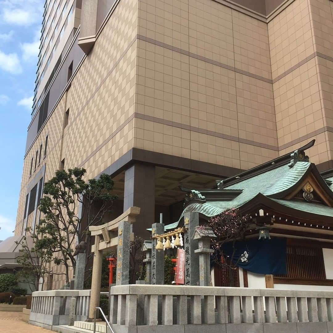 ホテルオークラ福岡さんのインスタグラム写真 - (ホテルオークラ福岡Instagram)「ホテルオークラ福岡の隣接する鏡天満宮の梅がほころんできました。 寒い日もありますが、徐々に春の気配を感じます。  #hotelokurafukuoka  #hotelokura  #ホテルオークラ福岡  #ホテルオークラ  #鏡天満宮  #春 #梅」2月22日 14時30分 - hotelokura_fukuoka