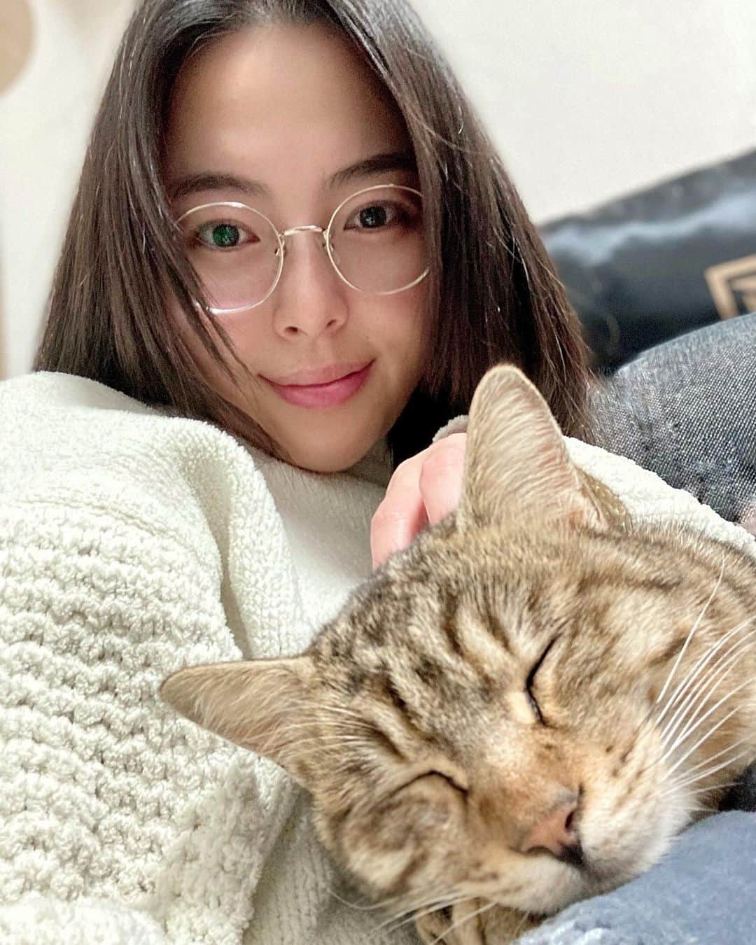 のインスタグラム：「#猫の日 🐈🫶💗  #ねこの日」