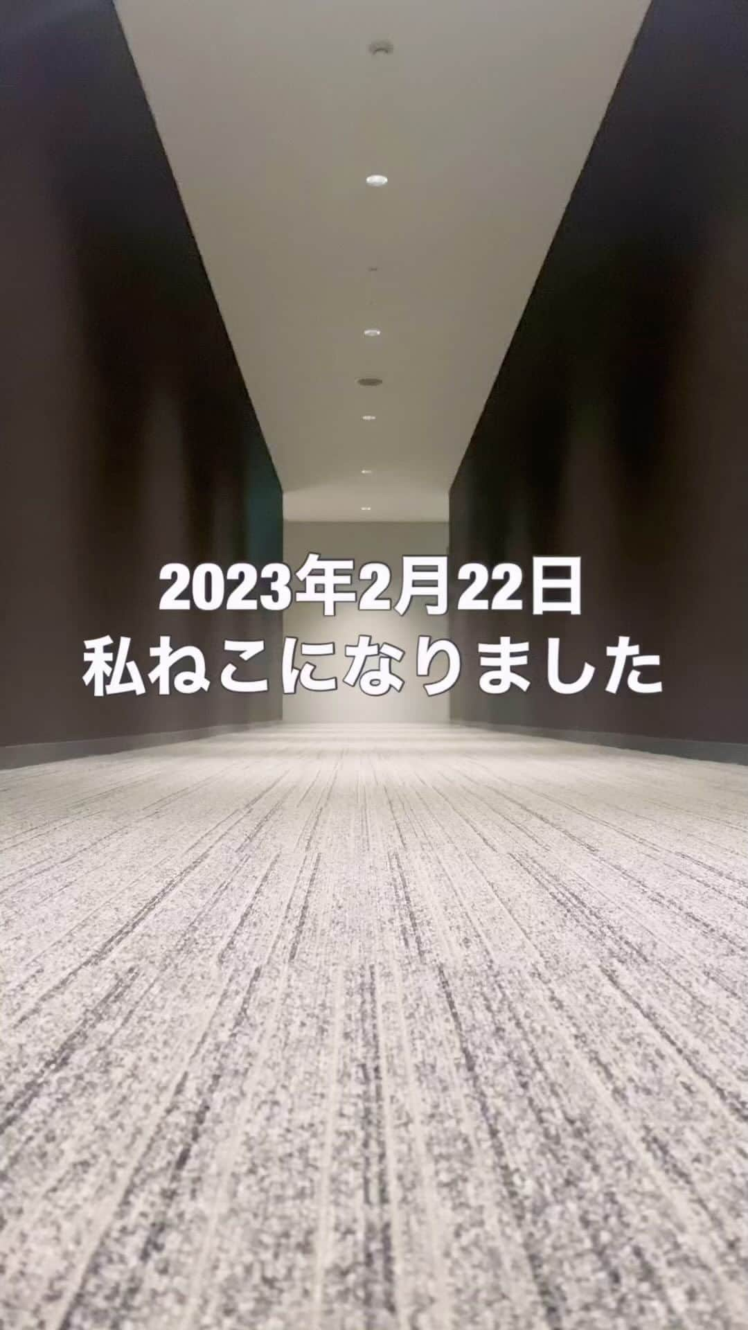 松田岳のインスタグラム：「2023年2月22日ねこの日🐈  #猫の日　#🐈 #ねこ #ねこすたぐらむ #cat #catsofinstagram」