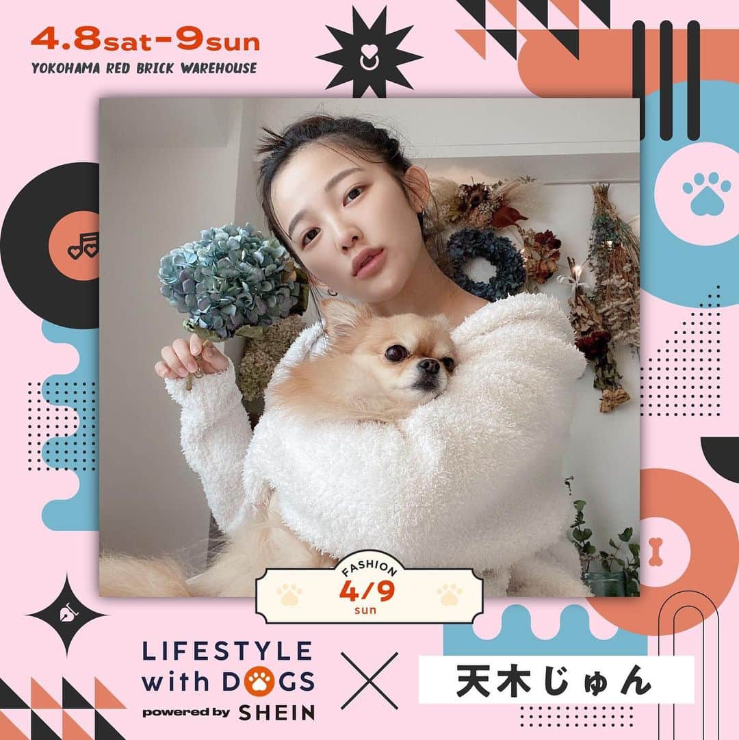 のインスタグラム：「お知らせ🐶❤️  ＼出演決定📣／ 4/9(日)横浜赤レンガ倉庫 【 LIFESTYLE with DOGS🐶 】 🎟観覧無料 (座席付Tシャツ👕3/10より発売開始) ⏰第2部 OP17:30/ST18:30  公式サイト👇 https://lifestylewith.tokyo/  なんと、愛犬コロネちゃんとランウェイ歩きます！！！🥰  楽しみだなぁぁ🥰🥰🥰  SHEINで使えるクーポンコード【LWD23】で最大20%オフ！ #LWDwithSHEIN #SHEINコーデ」