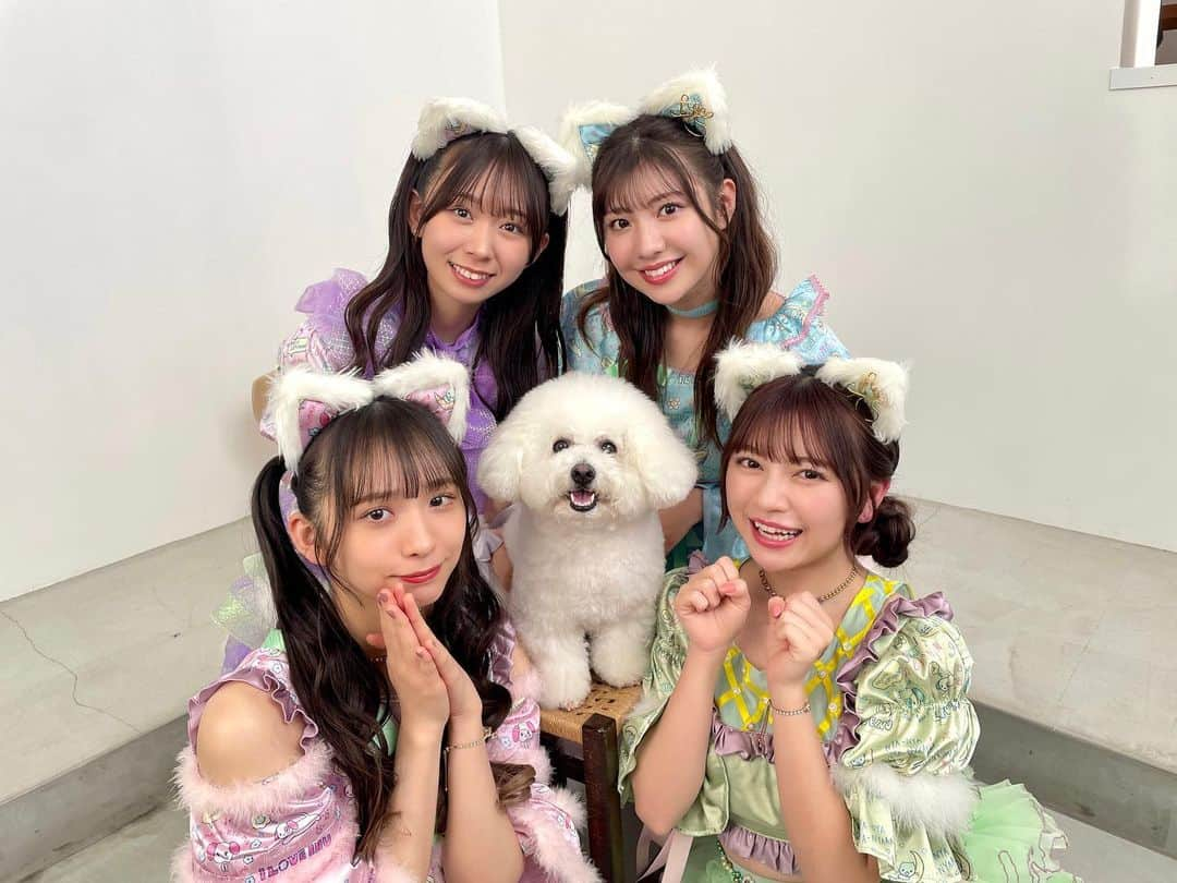 わーすたのインスタグラム：「🌟Now streaming worldwide!🌟 Wasuta's new single  🐱sumaninu🐱  #ねこの日 の本日リリース🐈 Newシングル「すまん、犬。」 ぜひ沢山聴いて下さい!! ➡️https://avex.lnk.to/suman_inu_sg  💚💜💙💗 #wasuta #わーすた #jpop #japanesegirl #かわいい#kawaii #harajuku #japaneseidol #idol #japaneseidols #japanesemusic #newmusic #newsingle #dance #newsingle #アイドル #猫耳 #アイドル衣装 #すまん犬 #와스타 #猫の日 #にゃんにゃんにゃんの日」