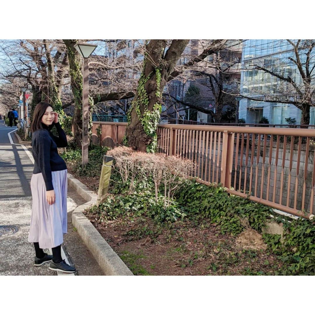 本田珠規さんのインスタグラム写真 - (本田珠規Instagram)「2023.2.22  たくさんの方に触って頂いた ポンポコリンの愛おしいお腹も カウントダウンだなぁ☺️  一日10,000歩目標で 今日は、14,000歩達成♡  美味しいものもたくさん食べて 満足🤤  2枚目は昔からある三宿のカレー屋さん。 【喜楽亭】 ここのハンバーグカレーが美味しい❤  4枚目のメロンパンは賞味期限1時間の 塩バターメロンパン。  初めて食べた時の感動が 何度食べてもある❣️  #39週#臨月#臨月散歩 #39週3日#夫婦時間 #妊娠10ヶ月  #体外受精#顕微授精#不妊治療 #喜楽亭 #塩バターメロンパン」2月22日 22時49分 - tamaki_honda_oscar