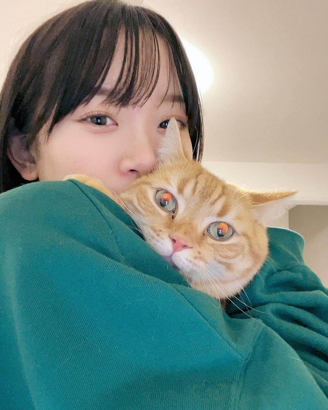 のインスタグラム：「ねこの日！！！ 世界で一番プリティ毛玉！ まあうちは毎日がねこの日だけどね〜🐱」